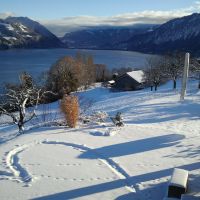 Neujahrstage