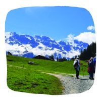 Seniorenwanderwoche in der Alpenflora