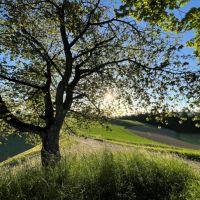 "Meine Hoffnung und meine Freude"