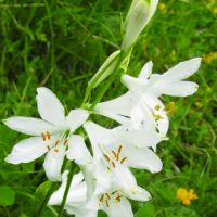 Wanderwoche - Unterwegs in den Bergfühling